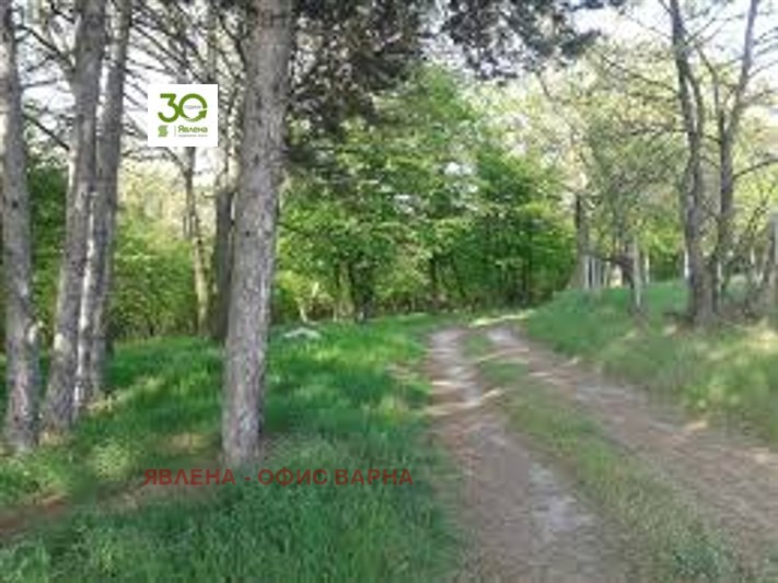 ������� ������ | Imot.bg � ����������� 4