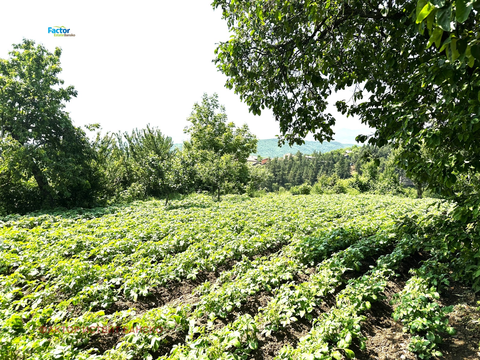 ������� ���� | Imot.bg � ����������� 15