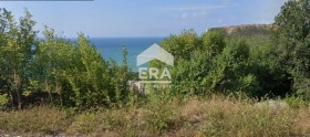 Complot Cavarna, regiunea Dobrich