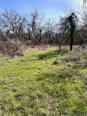 ПАРЦЕЛ, 2 836 m2