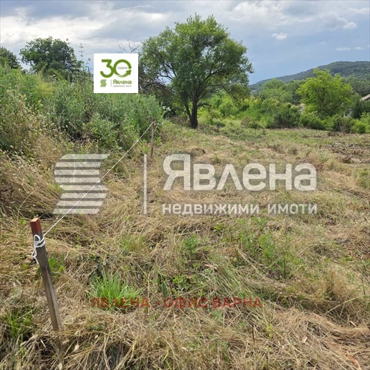 Продава ПАРЦЕЛ, с. Долище, област Варна, снимка 4 - Парцели - 55366446