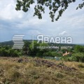 Продава ПАРЦЕЛ, с. Долище, област Варна, снимка 2