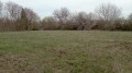 Продава ПАРЦЕЛ, област Велико Търново, с. Дичин • 15000 € • 90749777 — Holmes.bg