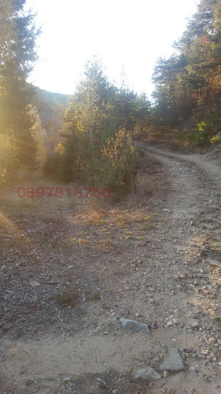 Продава КЪЩА, с. Кръстатица, област Смолян, снимка 10 - Къщи - 52779264