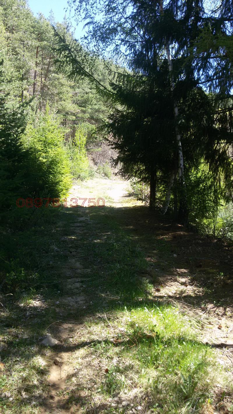 Продава КЪЩА, с. Кръстатица, област Смолян, снимка 11 - Къщи - 52779264