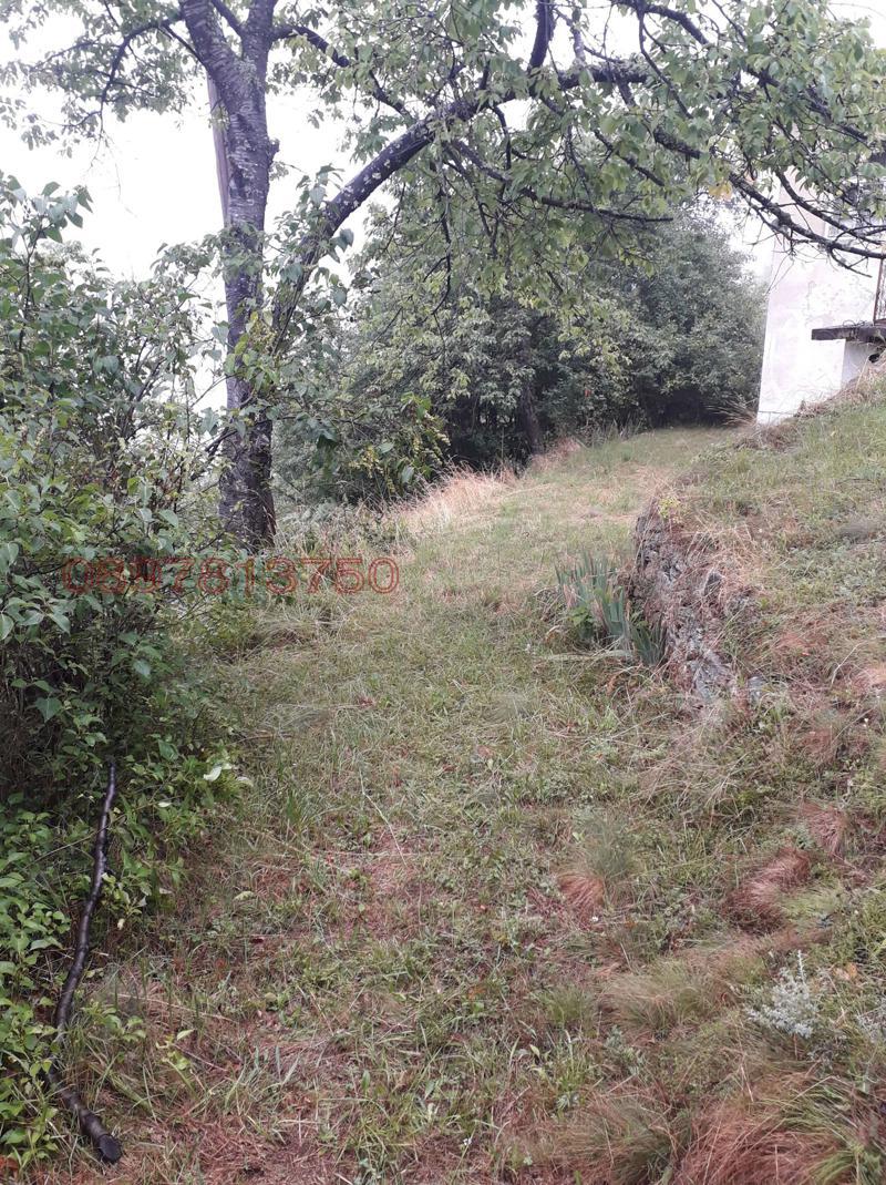 Продава КЪЩА, с. Кръстатица, област Смолян, снимка 12 - Къщи - 52779264