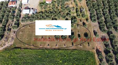 Продава  Парцел Гърция , Халкидики , 2250 кв.м | 11367285 - изображение [2]