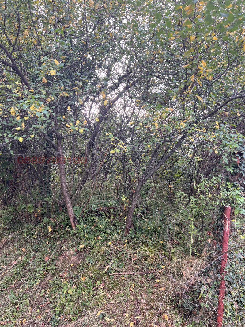 Продава  Парцел област Габрово , с. Зелено дърво , 180 кв.м | 32896656 - изображение [5]