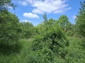 Продава ПАРЦЕЛ, гр. София, с. Лозен, снимка 1