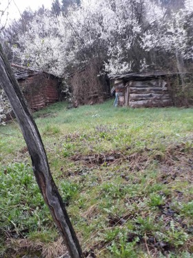 ������� ���� | Imot.bg � ����� ������ 10