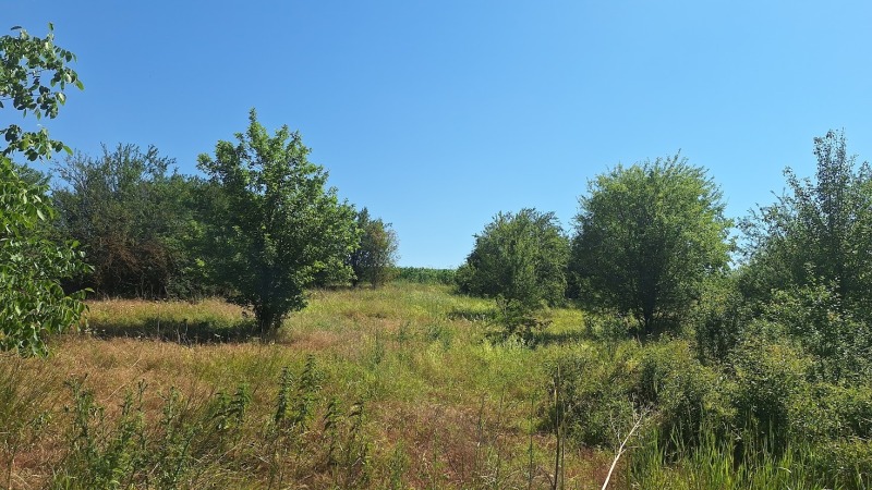 Zu verkaufen  Handlung region Varna , Wojwodino , 1550 qm | 66322982 - Bild [8]