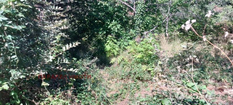 En venta  Trama región Plovdiv , Jrabrino , 976 metros cuadrados | 93983423 - imagen [5]
