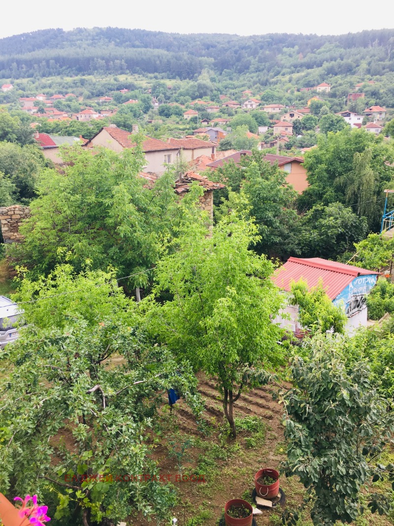 На продаж  Сюжет область Пазарджик , Славовица , 1350 кв.м | 63452764 - зображення [3]