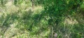 Продава ПАРЦЕЛ, област Пловдив, с. Храбрино • 25000 € • 50222876 — Holmes.bg