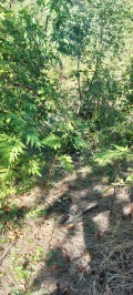 Продава ПАРЦЕЛ, област Пловдив, с. Храбрино • 25000 € • 50222876 — Holmes.bg