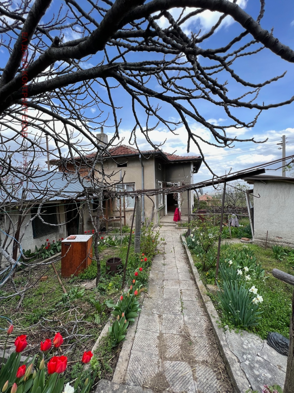 ������� ���� | Imot.bg � ����������� 1