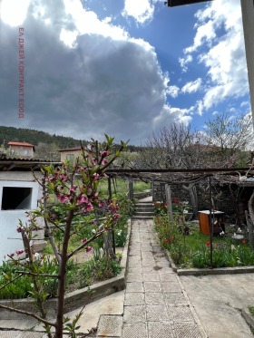 ������� ���� | Imot.bg � ����� ������ 4