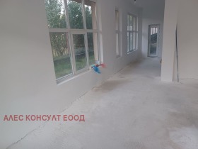 ����� ������� �������,���� �����, ����� 7