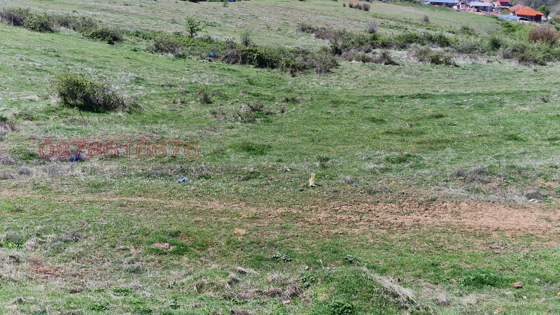 Продава ПАРЦЕЛ, с. Поленица, област Благоевград, снимка 4 - Парцели - 52783712