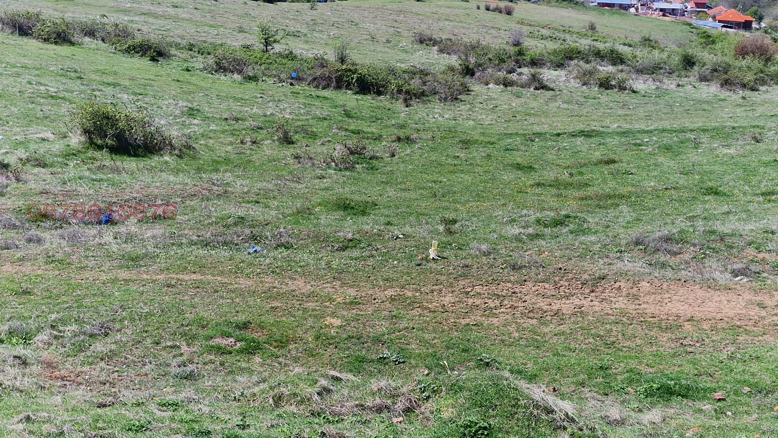 Продава ПАРЦЕЛ, с. Поленица, област Благоевград, снимка 5 - Парцели - 53753956