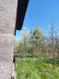 Продава КЪЩА, гр. Перник, Църква, снимка 16