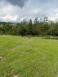 Продава ПАРЦЕЛ, с. Градец, област София област, снимка 6