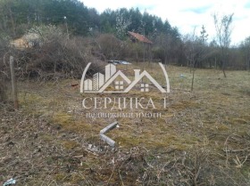 Продажба на земеделски земи в област Кюстендил - изображение 1 