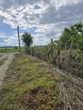 Продава КЪЩА, област Пловдив, с. Беловица • 65000 лв. / 33233.97 € • 55504283 15