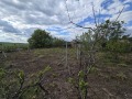 Продава КЪЩА, област Пловдив, с. Беловица • 65000 лв. / 33233.97 € • 55504283 5