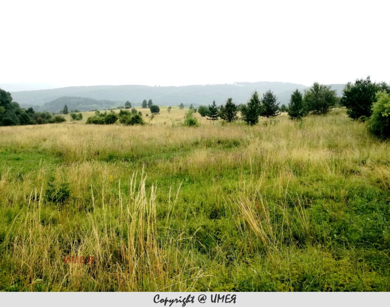 Продава ПАРЦЕЛ в град София, с. Бистрица - 15000 кв.м / 570 000 € » 1 114 823.10 лв., ИМЕЯ