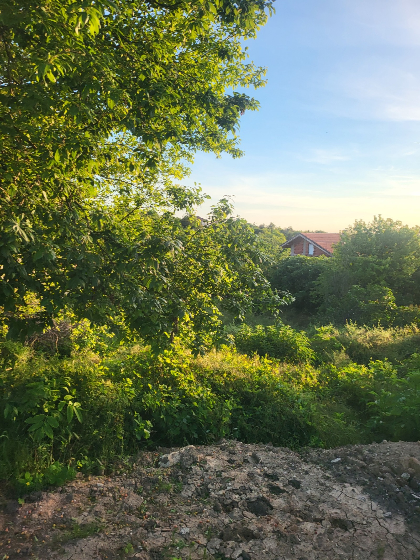 ������� ���� | Imot.bg � ����������� 17