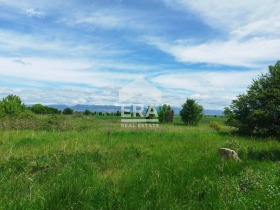 Grund Kazichene, Sofia