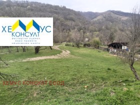 ������ ������� ������