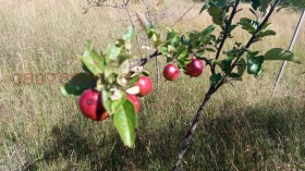 ������� ������ | Imot.bg � ����� ������ 2