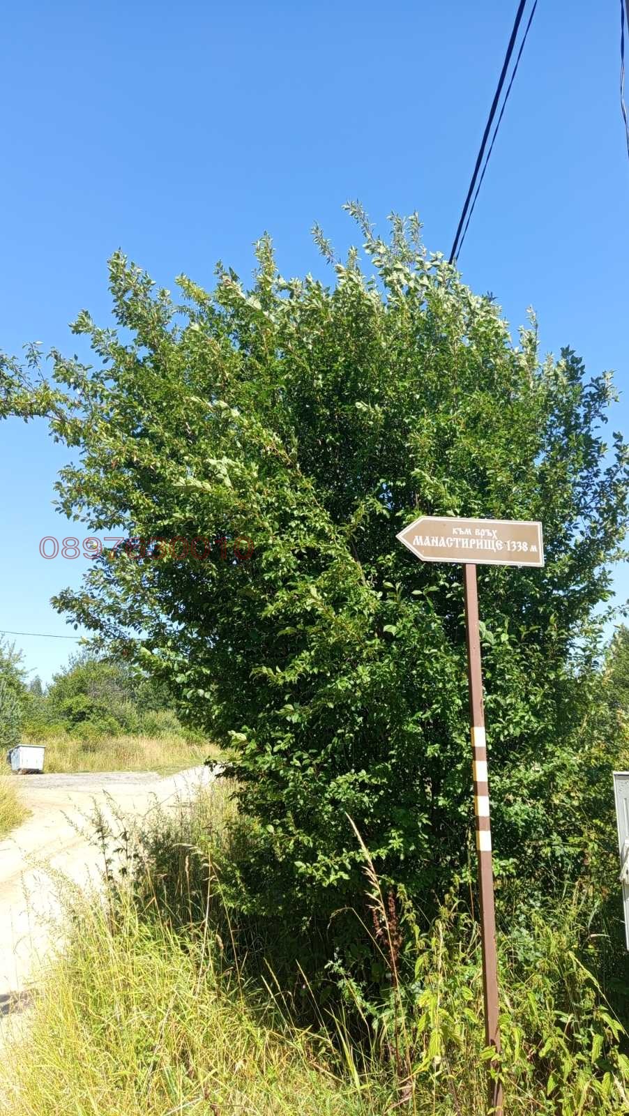 Продава ПАРЦЕЛ, гр. София, с. Плана, снимка 6 - Парцели - 56257213