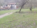 Продава ПАРЦЕЛ, с. Черни Осъм, област Ловеч, снимка 4