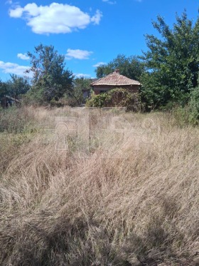Hus Plasjidol, region Dobrich