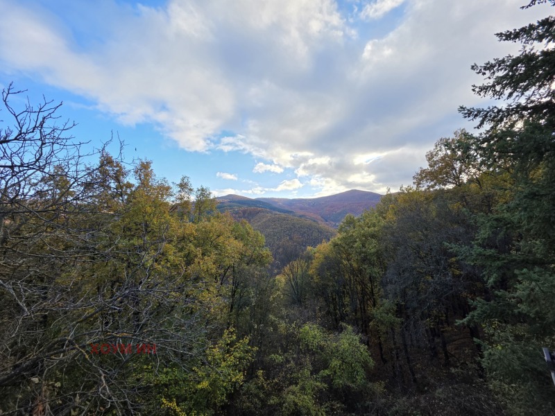 Продава КЪЩА, гр. Своге, област София област, снимка 4 - Къщи - 52288824