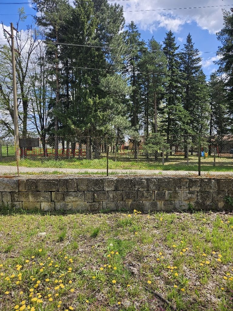 Продава КЪЩА, с. Батишница, област Русе, снимка 4 - Къщи - 54335965