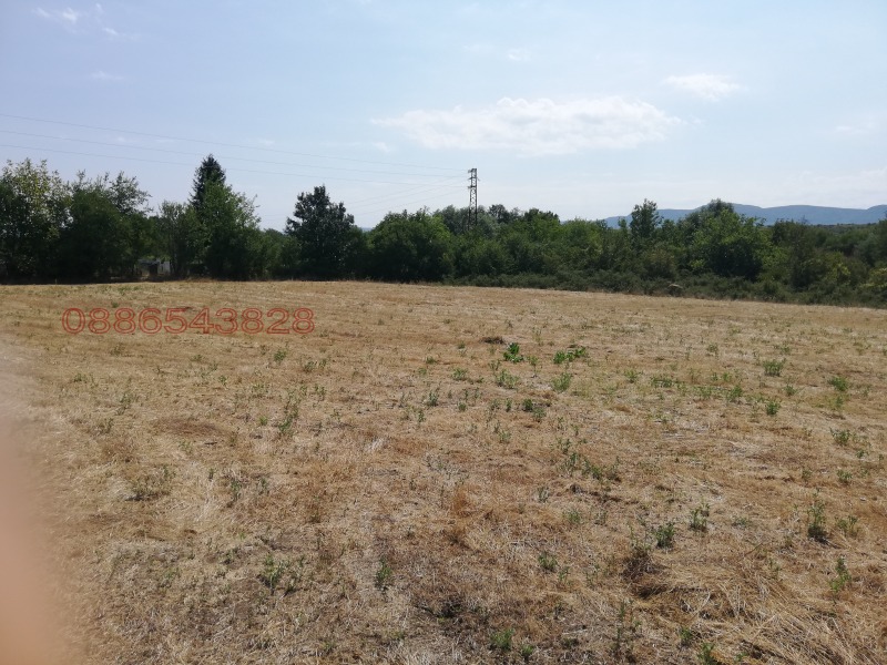 Продава ПАРЦЕЛ, с. Горно Пещене, област Враца, снимка 5 - Парцели - 52909978