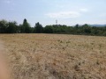 Продава ПАРЦЕЛ, с. Горно Пещене, област Враца, снимка 5