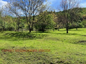 Cselekmény Djado Djanko, Gabrovo