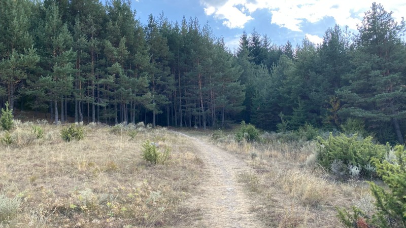 Te koop  Verhaallijn regio Blagoëvgrad , Bansko , 3784 m² | 17088202 - afbeelding [9]