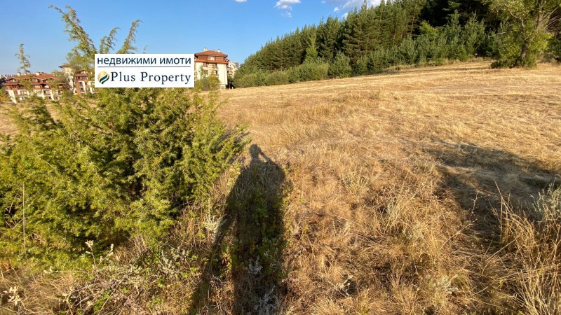 Na sprzedaż  Działka region Błagojewgrad , Bansko , 3784 mkw | 17088202