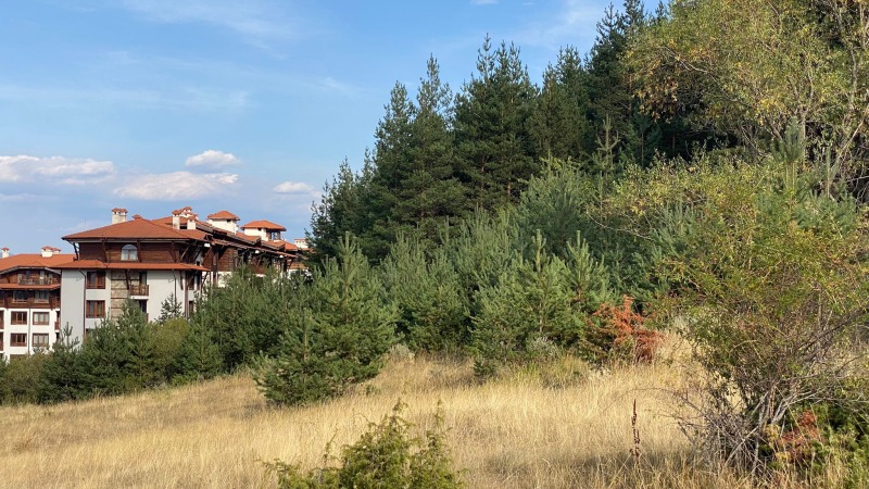 Te koop  Verhaallijn regio Blagoëvgrad , Bansko , 3784 m² | 17088202 - afbeelding [6]