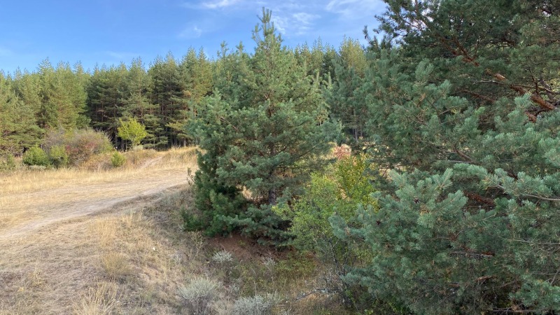 Te koop  Verhaallijn regio Blagoëvgrad , Bansko , 3784 m² | 17088202 - afbeelding [10]