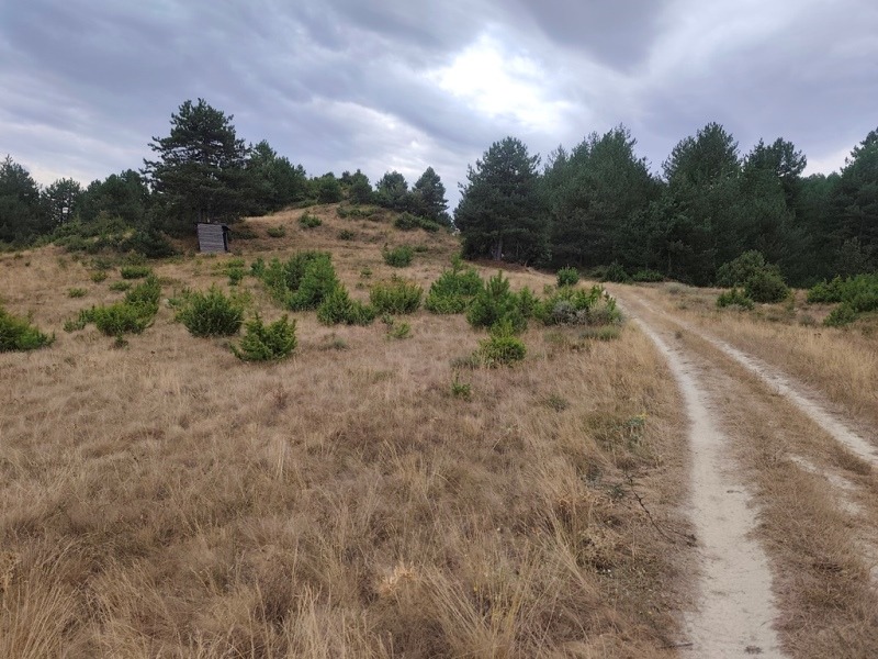 Til salgs  Plott region Blagoevgrad , Elesjnitsa , 2465 kvm | 99871044 - bilde [6]