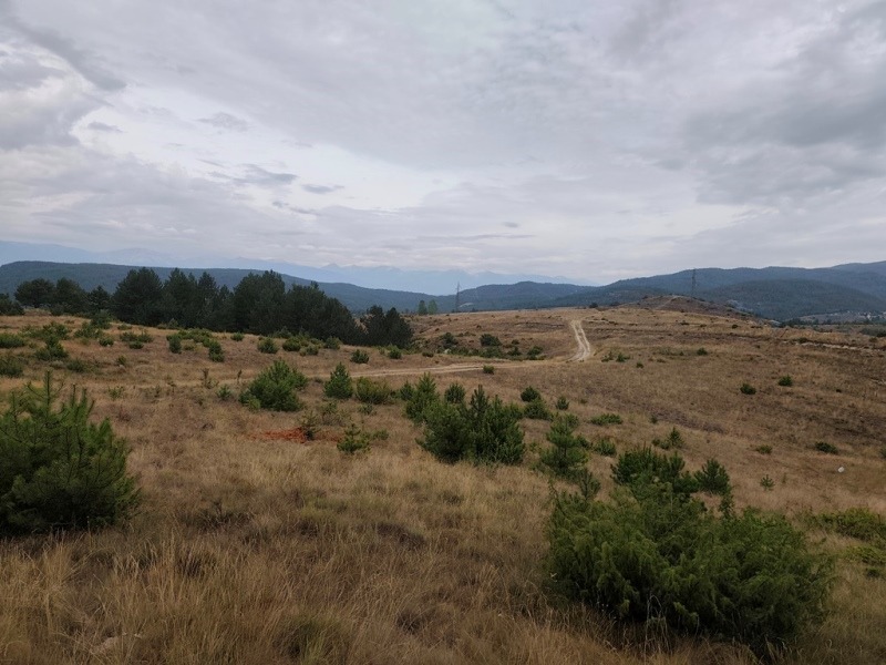 Til salgs  Plott region Blagoevgrad , Elesjnitsa , 2465 kvm | 99871044 - bilde [3]