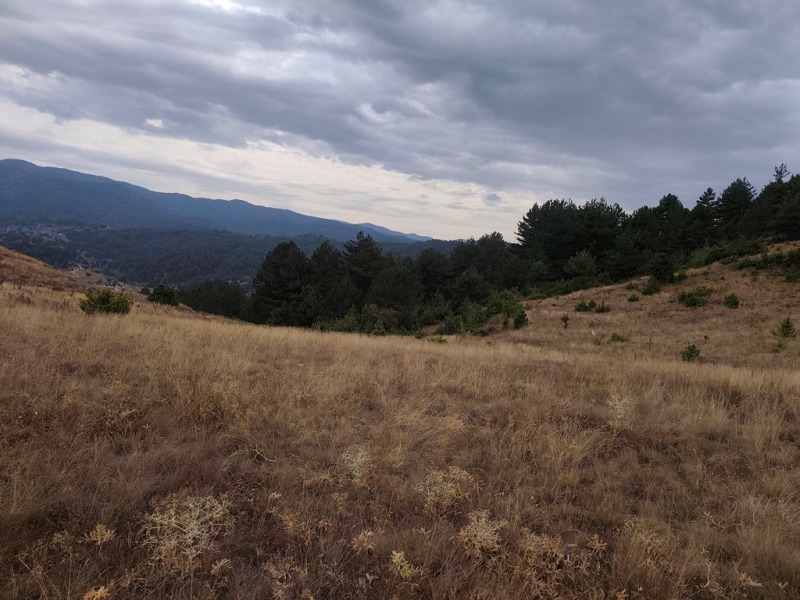 Til salgs  Plott region Blagoevgrad , Elesjnitsa , 2465 kvm | 99871044 - bilde [7]