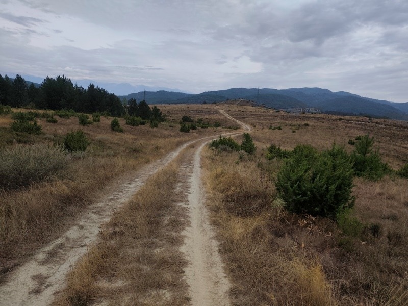 Til salgs  Plott region Blagoevgrad , Elesjnitsa , 2465 kvm | 99871044 - bilde [5]